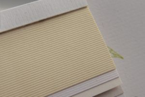 curious fussilier white gold